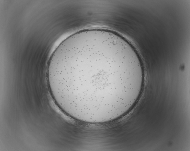 X0000115651374200912221322