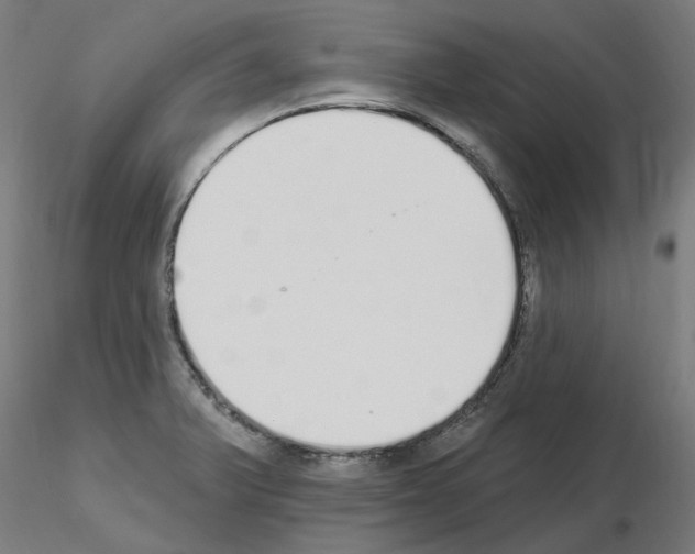 X0000115651375200912221322