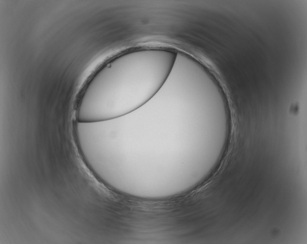 X0000115651376200912221322