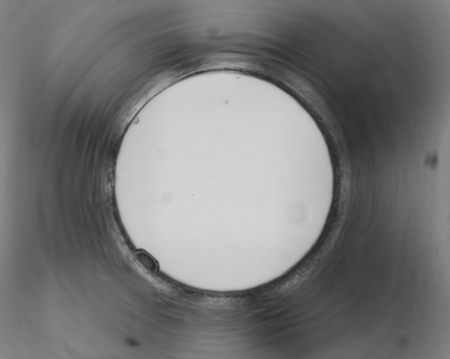 X0000115651377200912221322