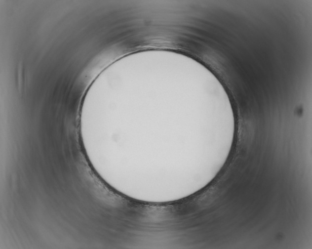 X0000115651378200912221322
