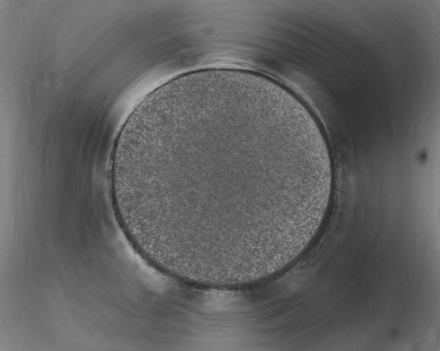 X0000115651379200912221322
