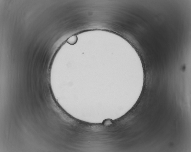 X0000115651380200912221322