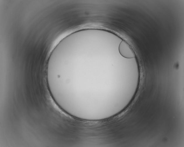 X0000115651382200912221322