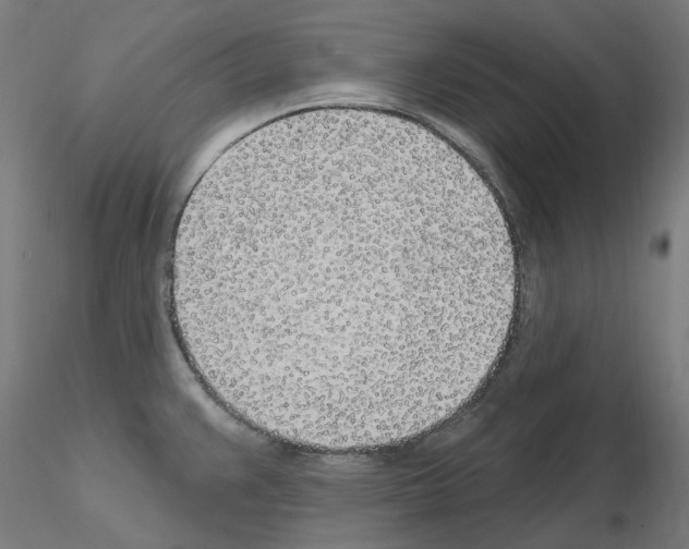 X0000115651383200912221322