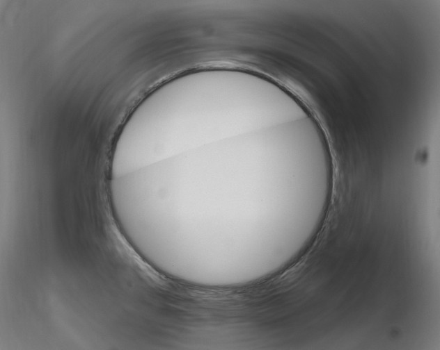 X0000115651384200912221322