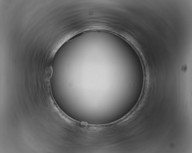 X0000115651385200912221322
