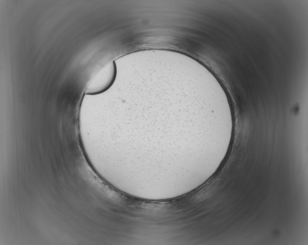 X0000115651386200912221322