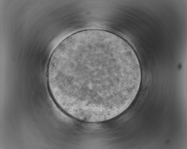 X0000115651387200912221322