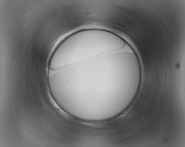 X0000115651388200912221322
