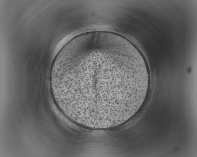 X0000115651389200912221322