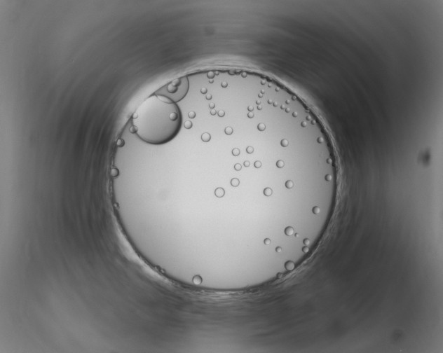 X0000115651390200912221322