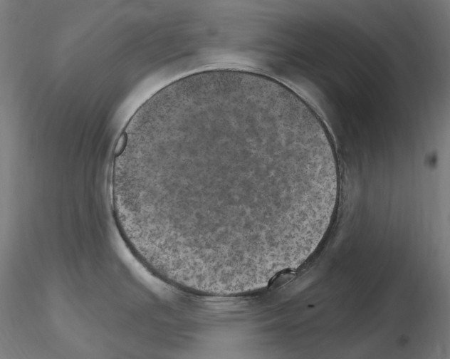 X0000115651391200912221322