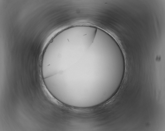 X0000115651392200912221322