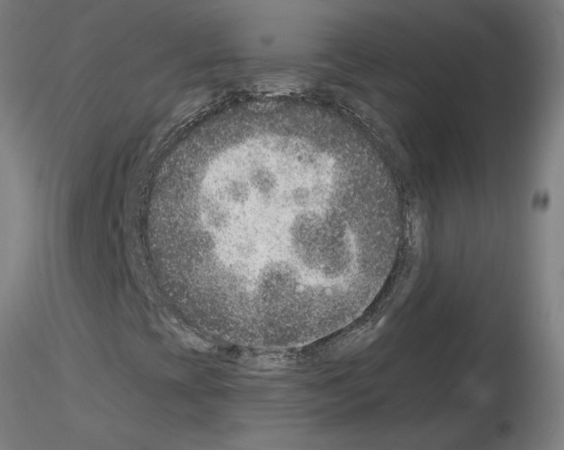 X0000115651393200912221321