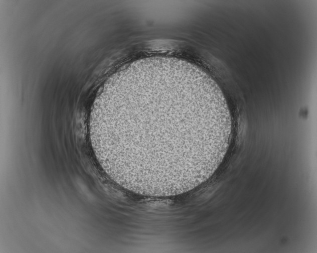 X0000115651394200912221321