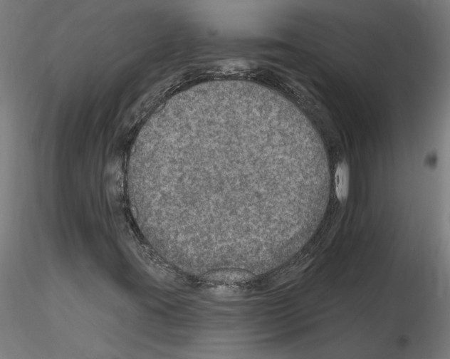 X0000115651395200912221321