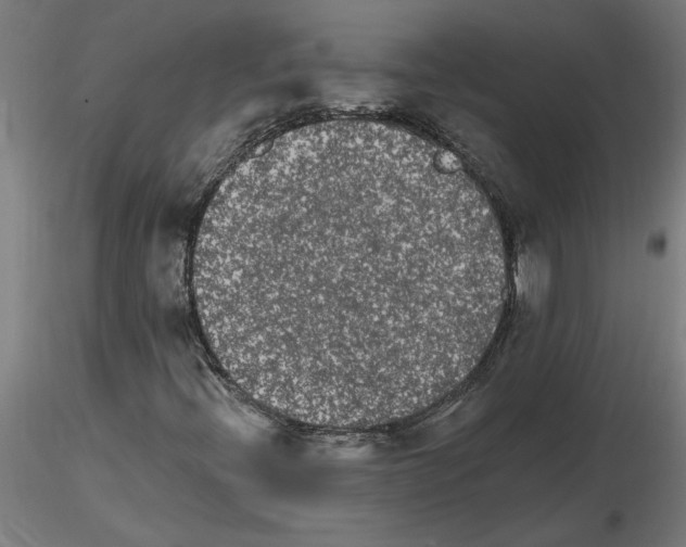 X0000115651396200912221321