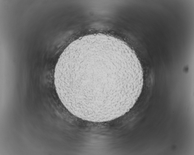 X0000115651397200912221321