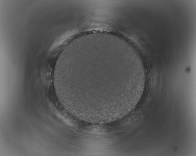 X0000115651399200912221321