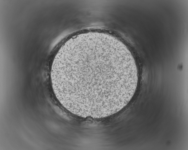 X0000115651400200912221321