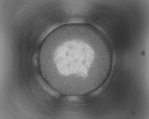 X0000115651401200912221321