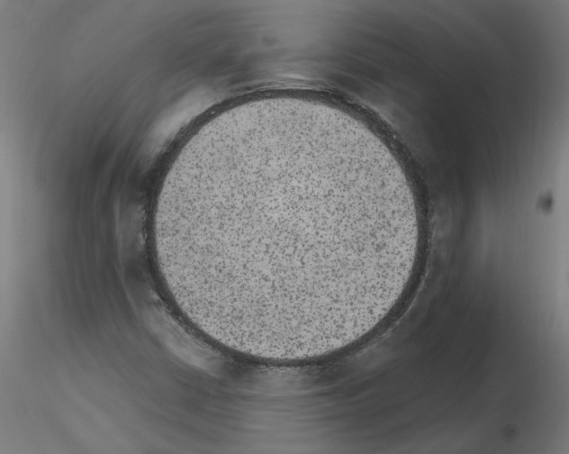 X0000115651402200912221321