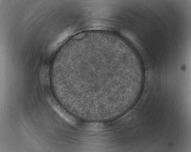 X0000115651403200912221321