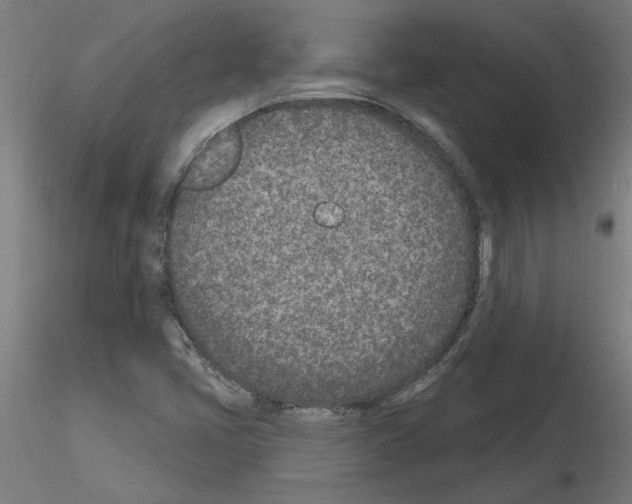 X0000115651405200912221321