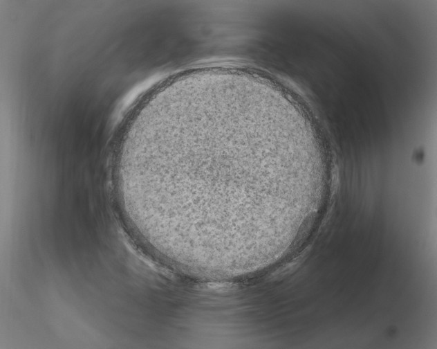 X0000115651406200912221321