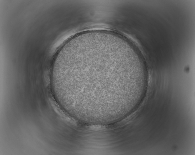 X0000115651407200912221321
