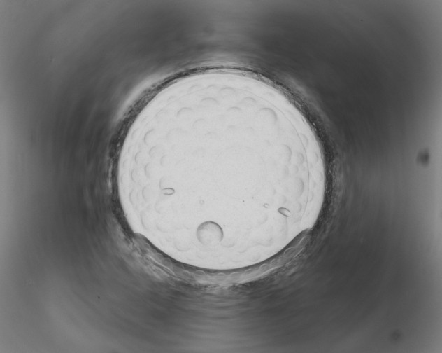 X0000115651408200912221321