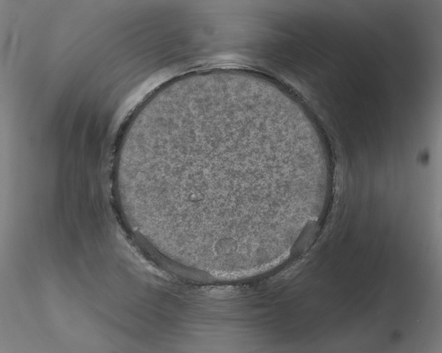 X0000115651410200912221321