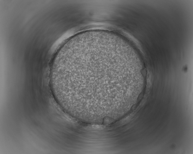 X0000115651411200912221321