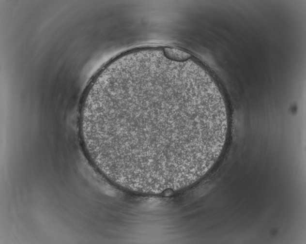 X0000115651412200912221321