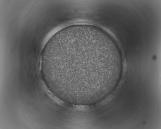 X0000115651413200912221321