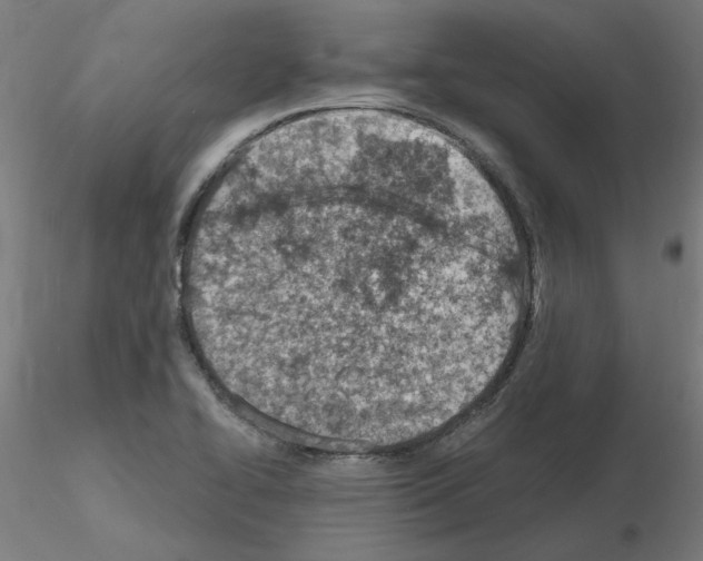 X0000115651414200912221321