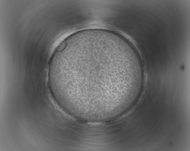 X0000115651415200912221321