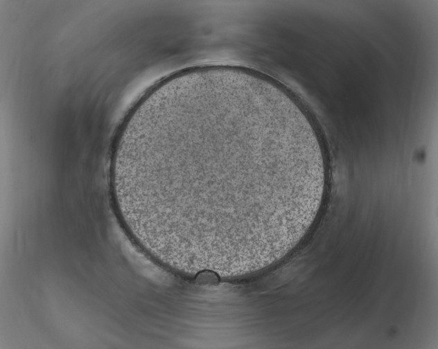 X0000115651416200912221321