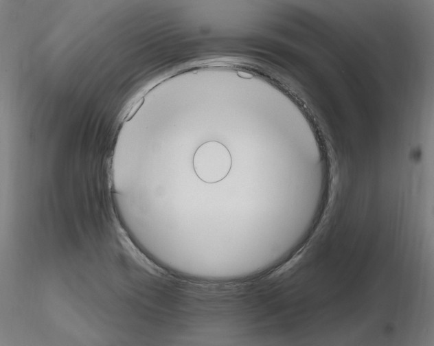 X0000115651417200912221321