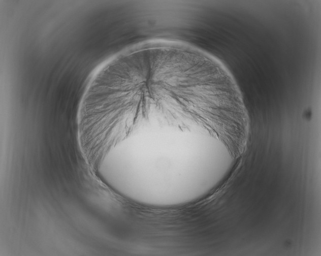 X0000115651419200912221321