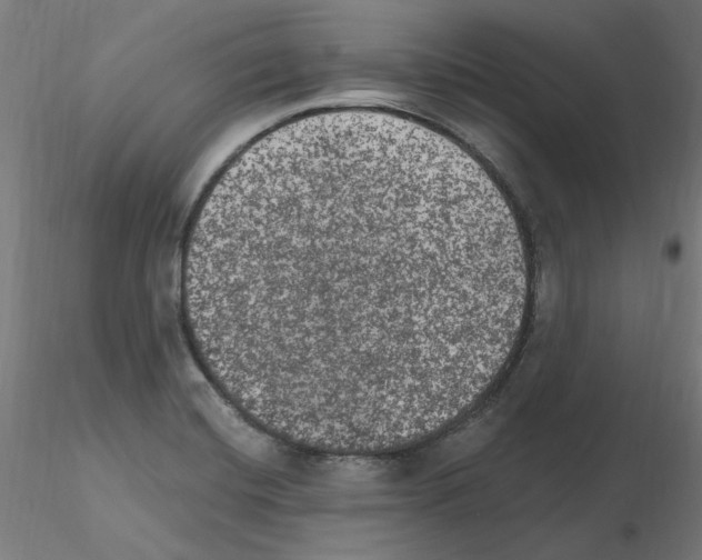X0000115651420200912221321