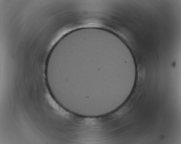 X0000115651422200912221321