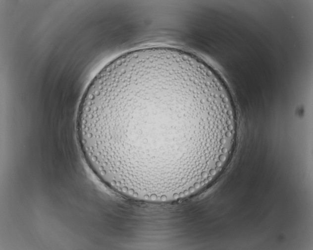 X0000115651423200912221321