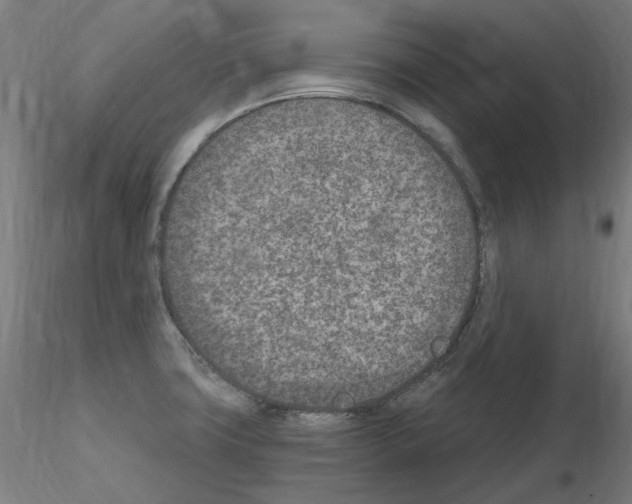 X0000115651427200912221322