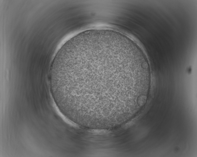 X0000115651429200912221322