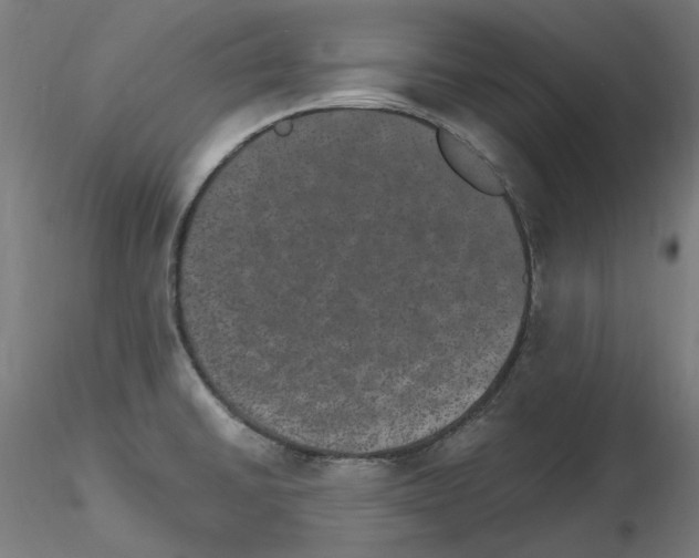 X0000115651430200912221322