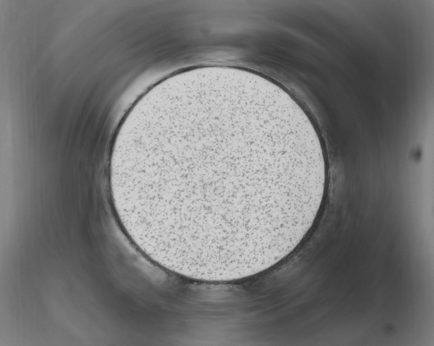X0000115651432200912221322