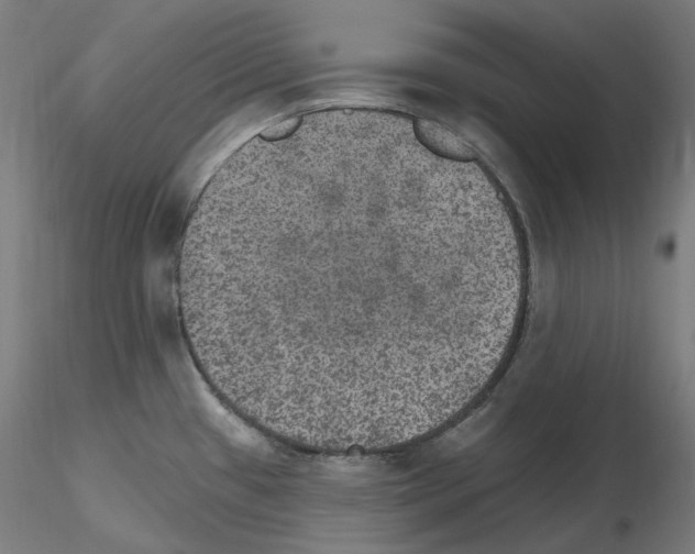 X0000115651433200912221322