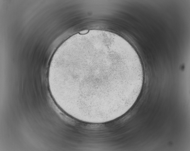 X0000115651434200912221322